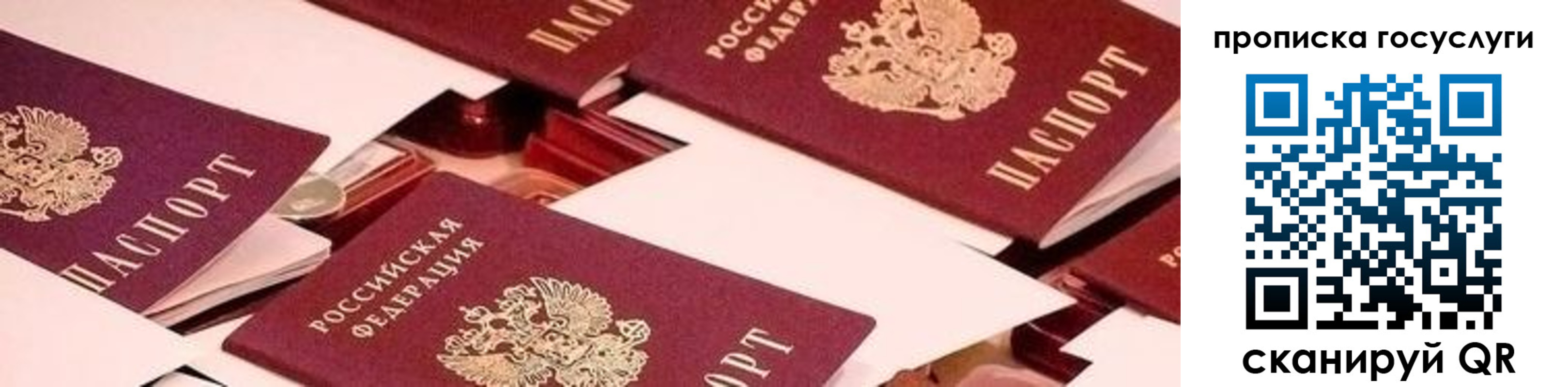 регистрация в Ярославской области